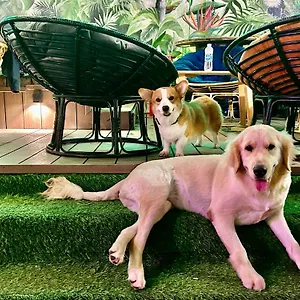 Hostel Rom Casa, Đà Nẵng